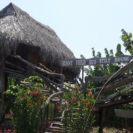 فيلا Sunny Field Eco Stilt House كات تيان المظهر الخارجي الصورة