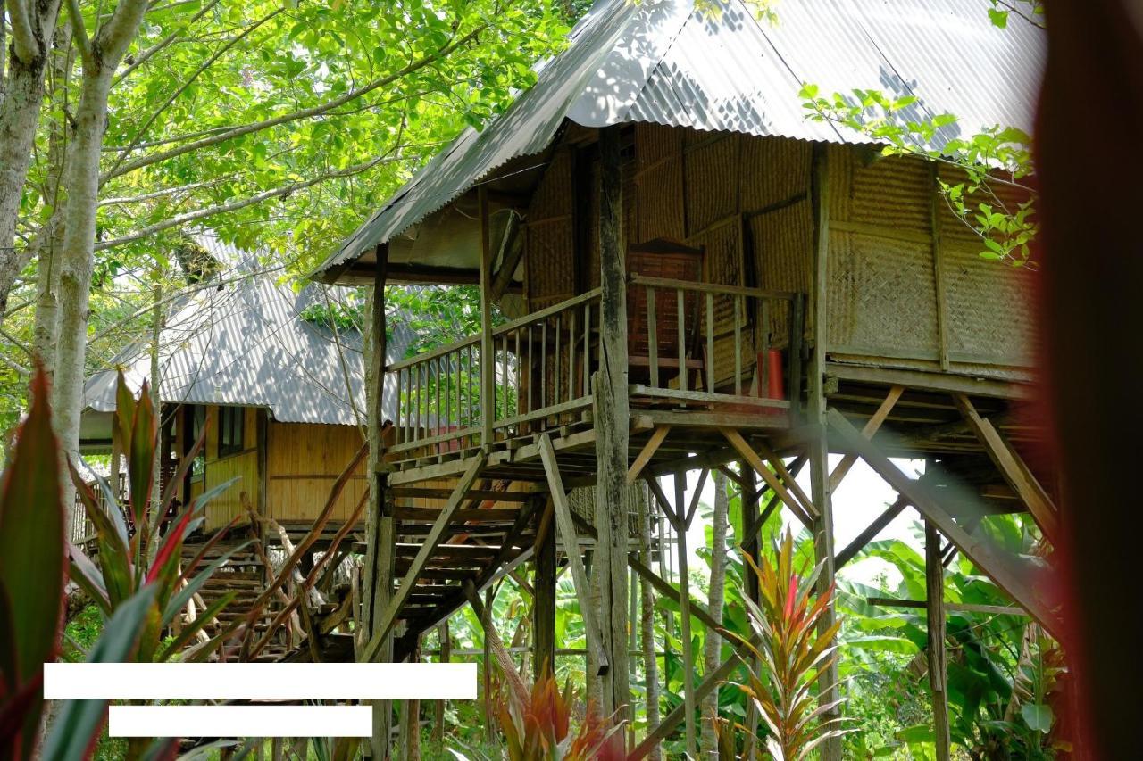 فيلا Sunny Field Eco Stilt House كات تيان المظهر الخارجي الصورة