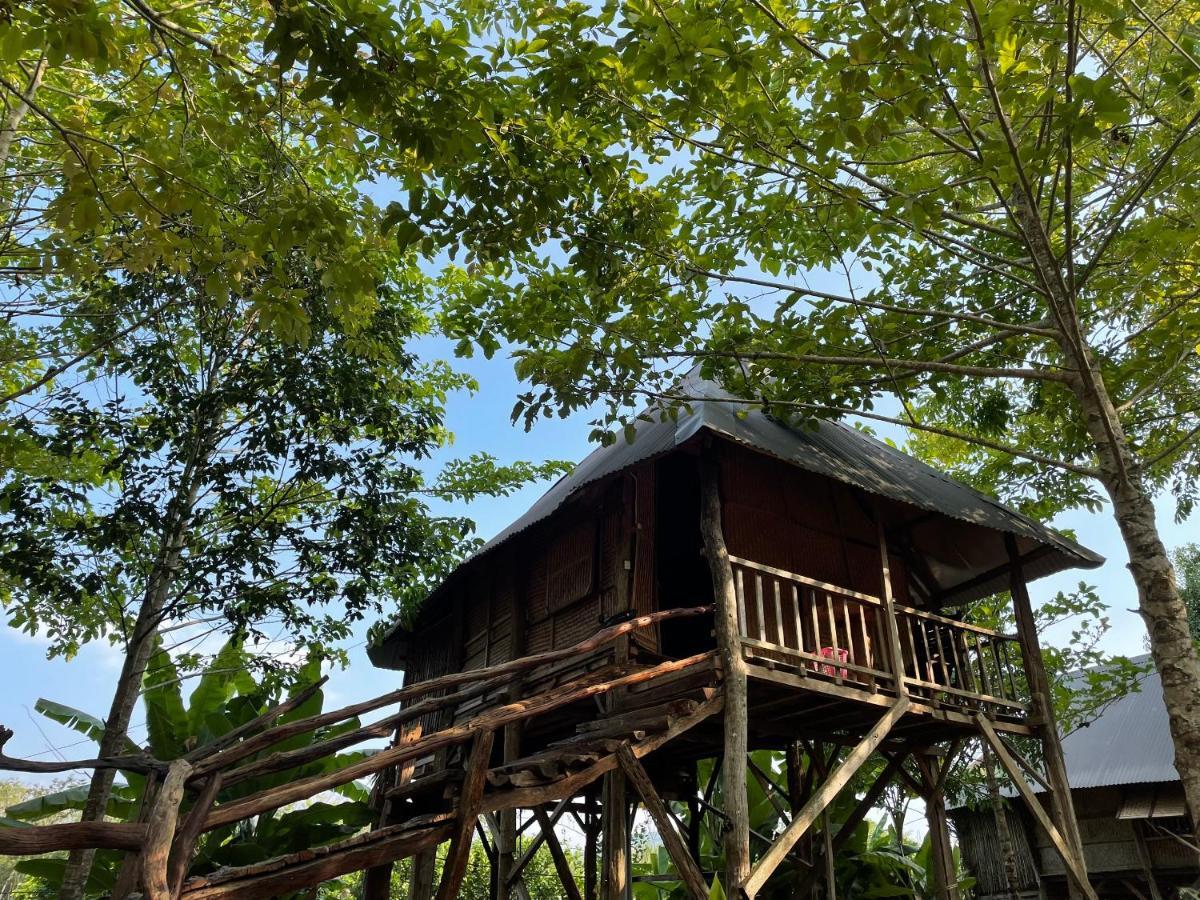 فيلا Sunny Field Eco Stilt House كات تيان المظهر الخارجي الصورة