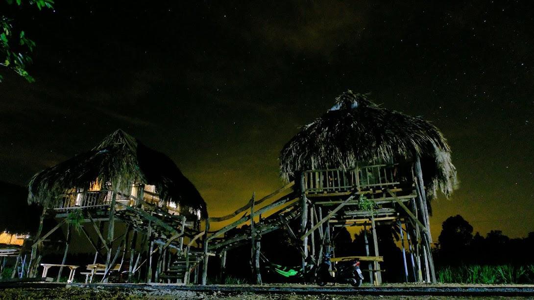 فيلا Sunny Field Eco Stilt House كات تيان المظهر الخارجي الصورة