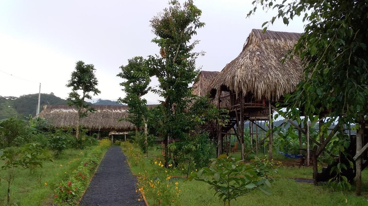 فيلا Sunny Field Eco Stilt House كات تيان المظهر الخارجي الصورة