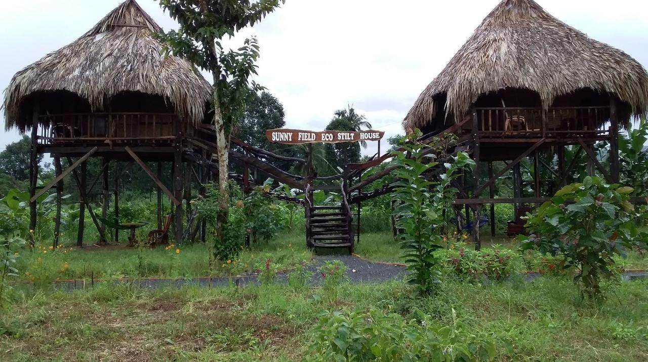 فيلا Sunny Field Eco Stilt House كات تيان المظهر الخارجي الصورة