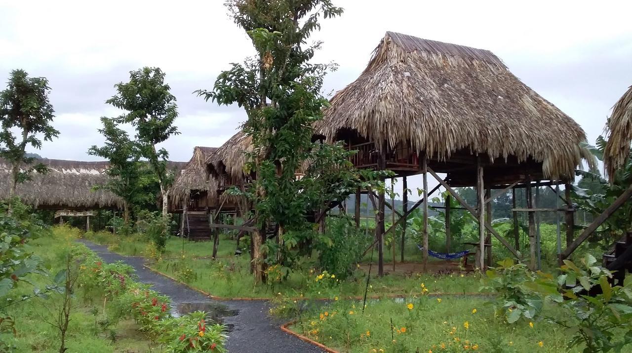 فيلا Sunny Field Eco Stilt House كات تيان المظهر الخارجي الصورة