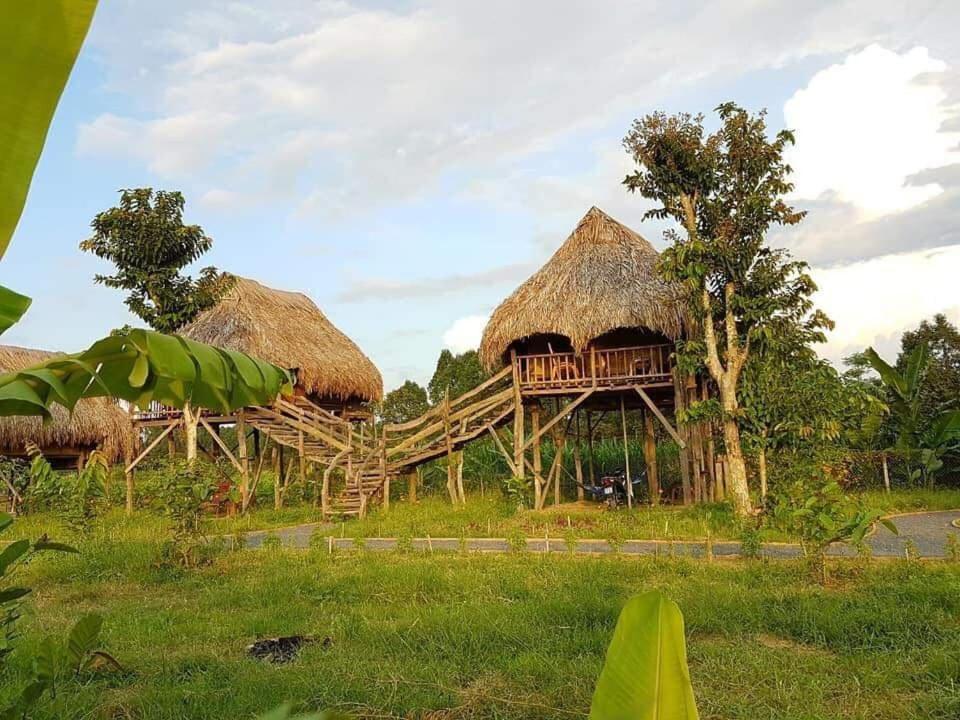 فيلا Sunny Field Eco Stilt House كات تيان المظهر الخارجي الصورة