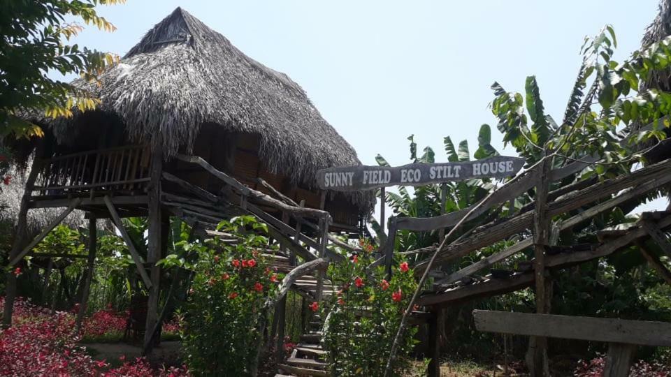 فيلا Sunny Field Eco Stilt House كات تيان المظهر الخارجي الصورة