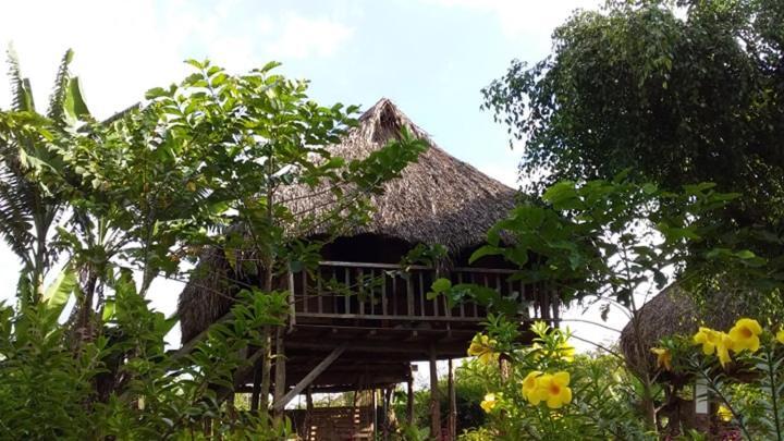 فيلا Sunny Field Eco Stilt House كات تيان المظهر الخارجي الصورة